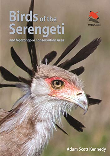 Birds of the Serengeti and Ngorongoro Conservation Area (Wildlife Guides) von Princeton University Press